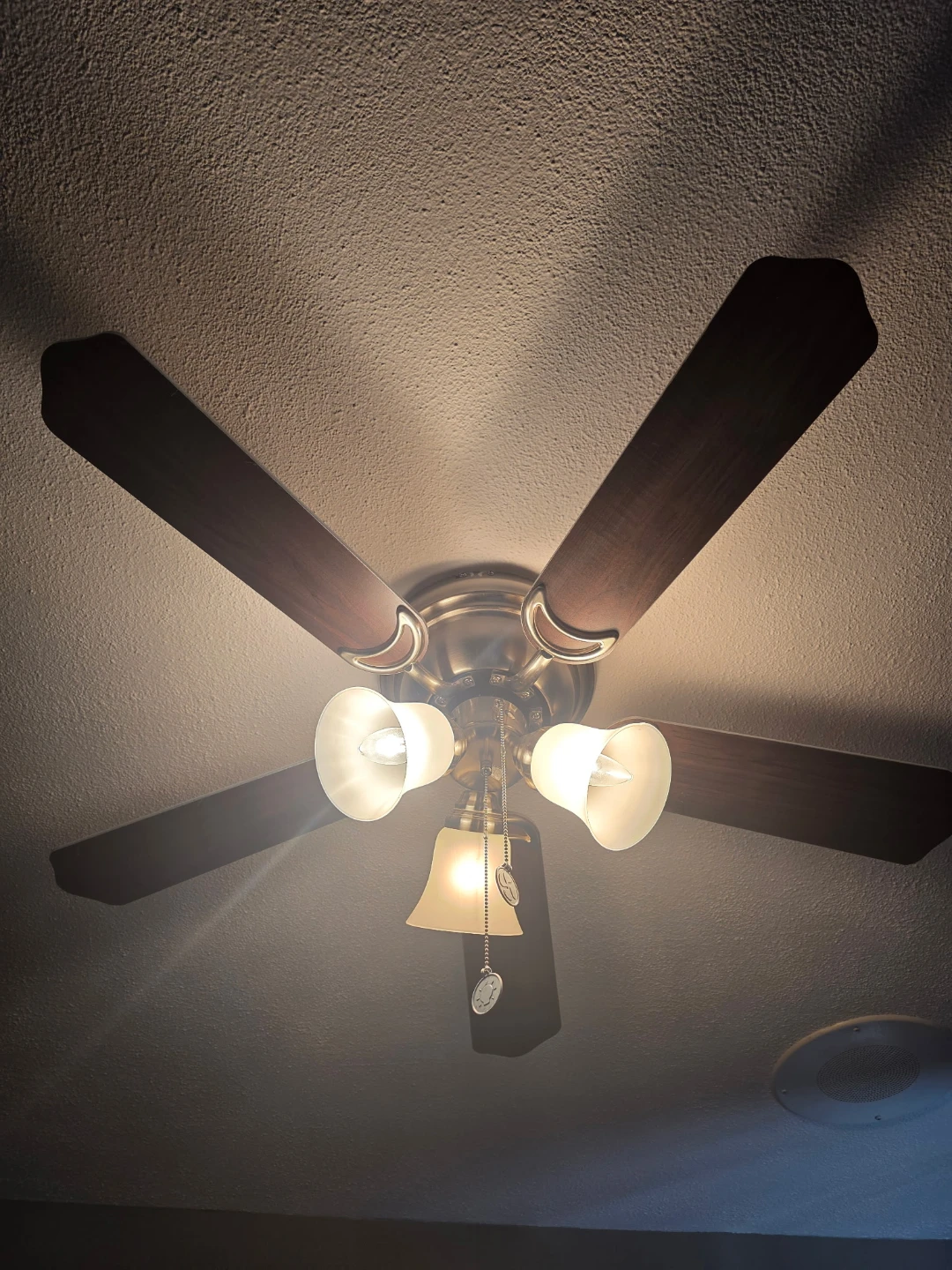 Ceiling Fan with Lights