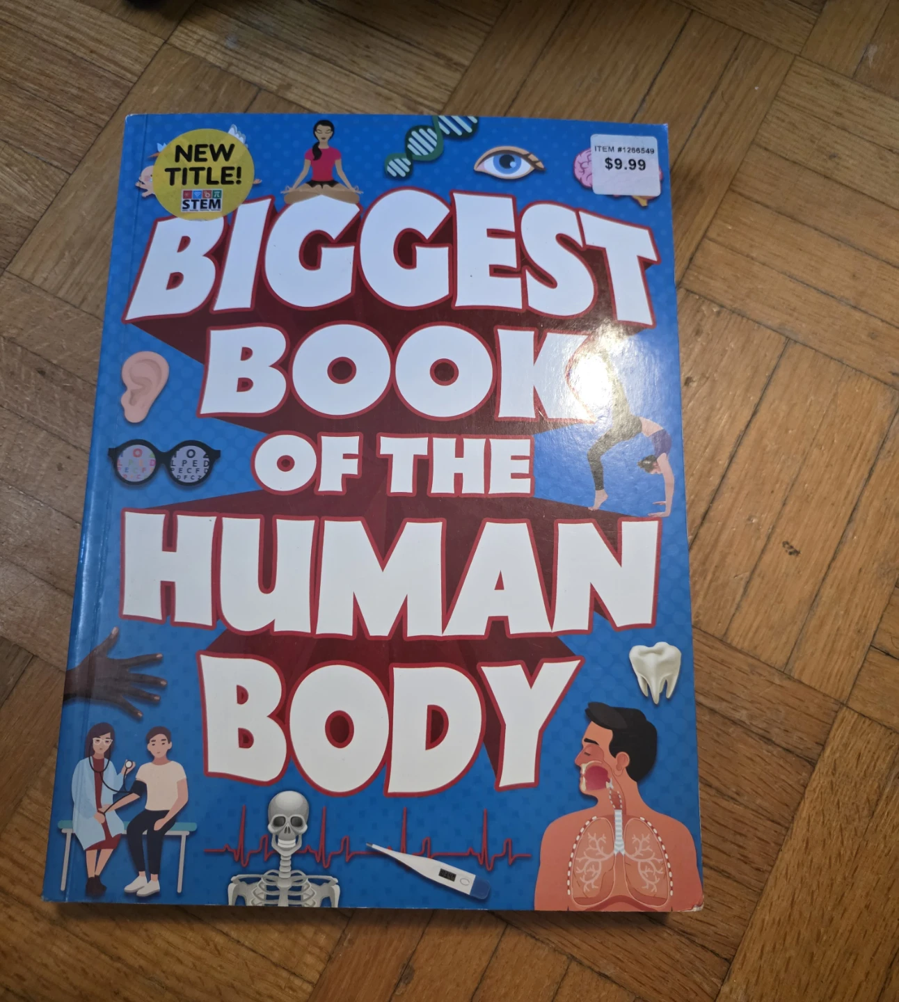 Biggest Book of the Human Body