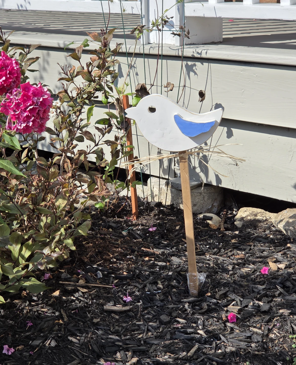 Garden birds