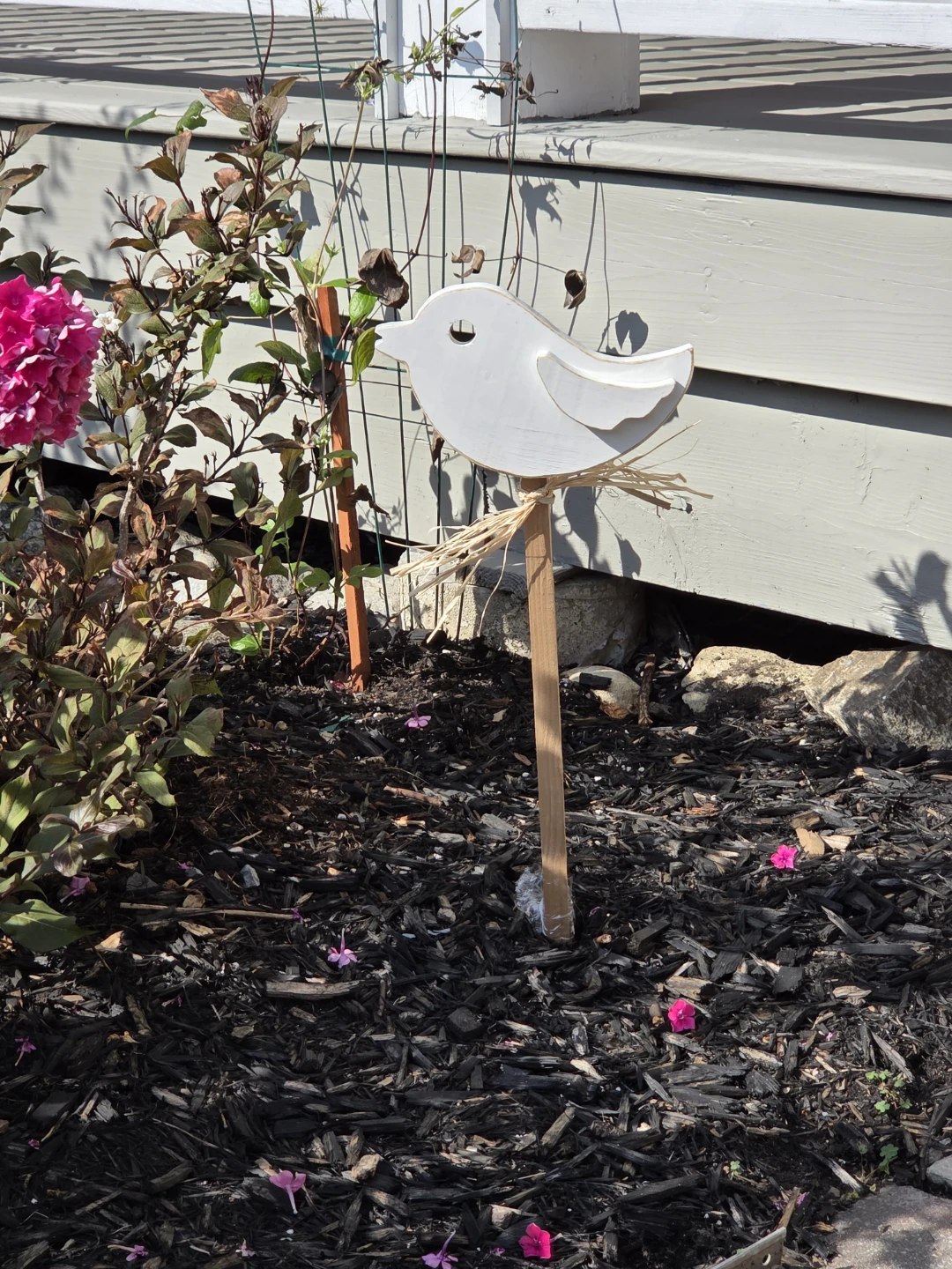 Garden birds - photo 3