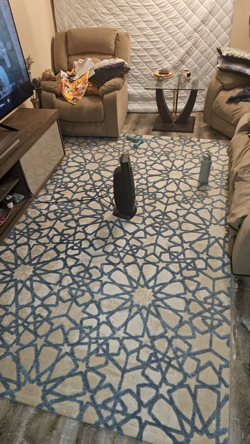 Alessandra Area Rug - photo 2