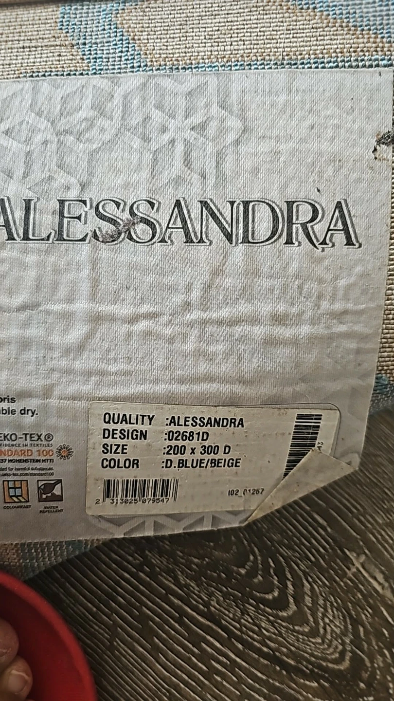 Alessandra Area Rug - photo 3