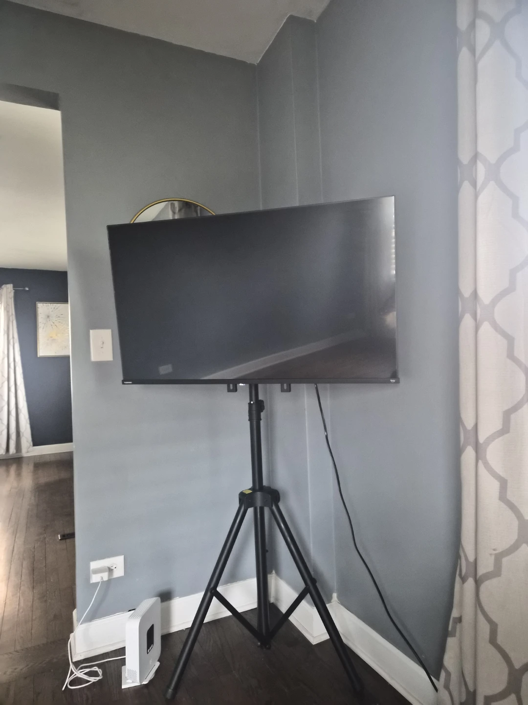 TV  with Floor Stand Tripod - Must be picked up this week!!