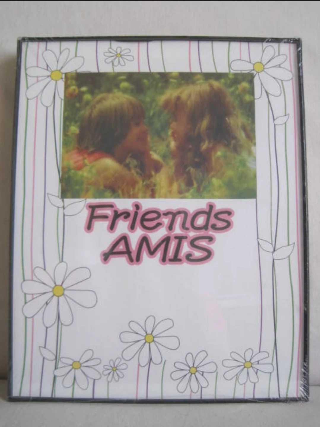 Friends Amis Photo Frame Daisy Design. Pick up only.