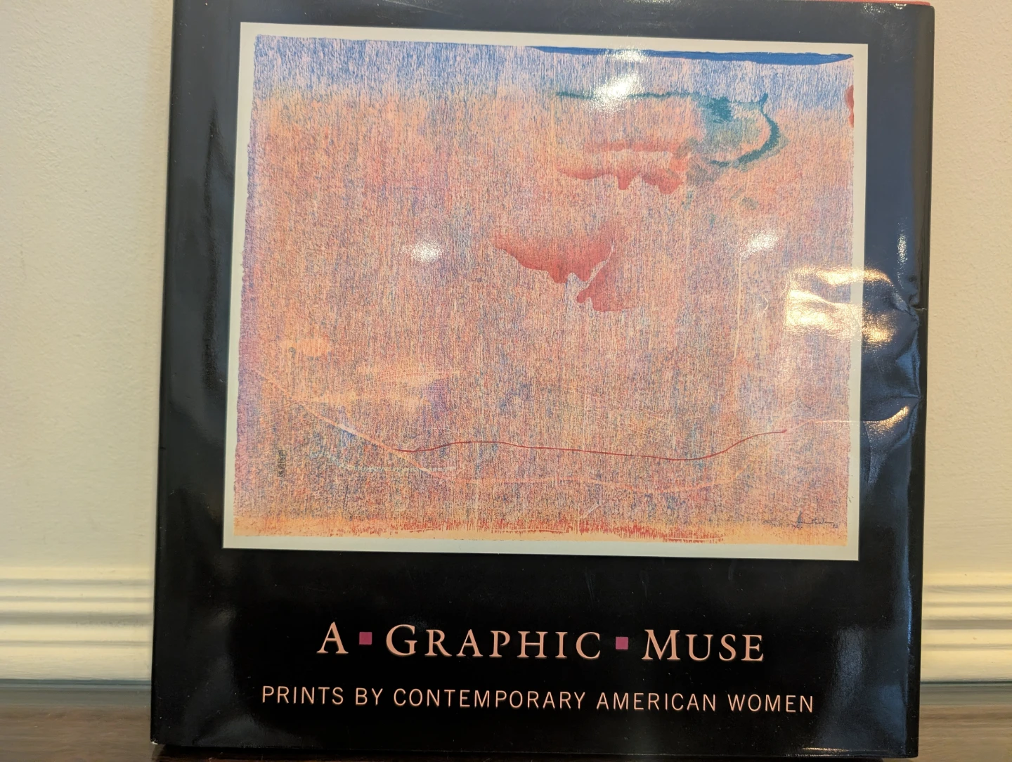 A Graphic Muse: Prints by Contemporary American Women Book