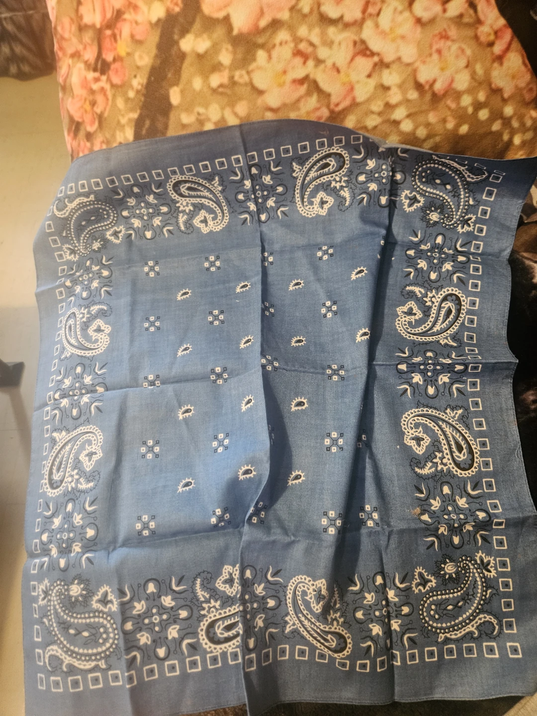 5 Bandanas - Paisley, Skull & Crossbones Patterns - photo 4