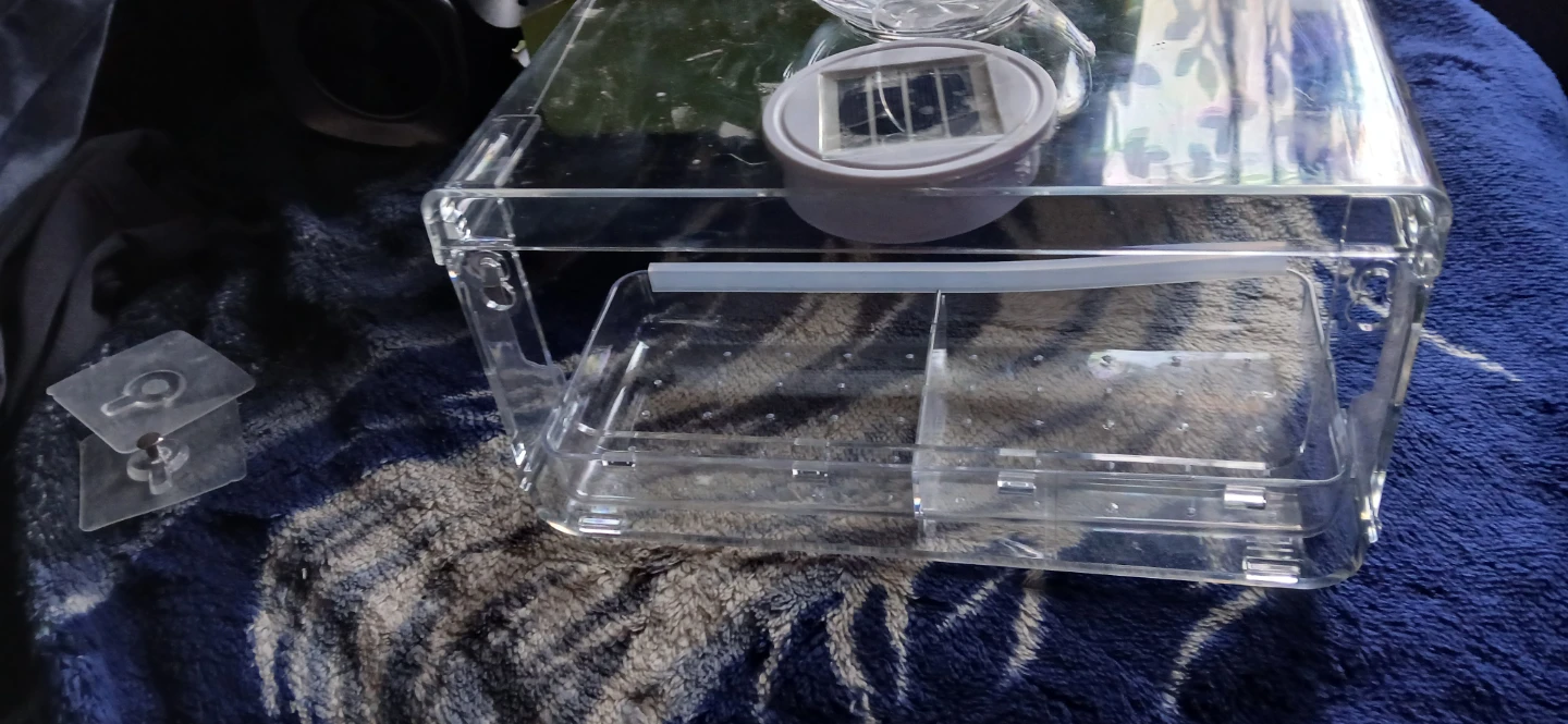 WENMIXER Solar Light Window Bird Feeder - photo 2