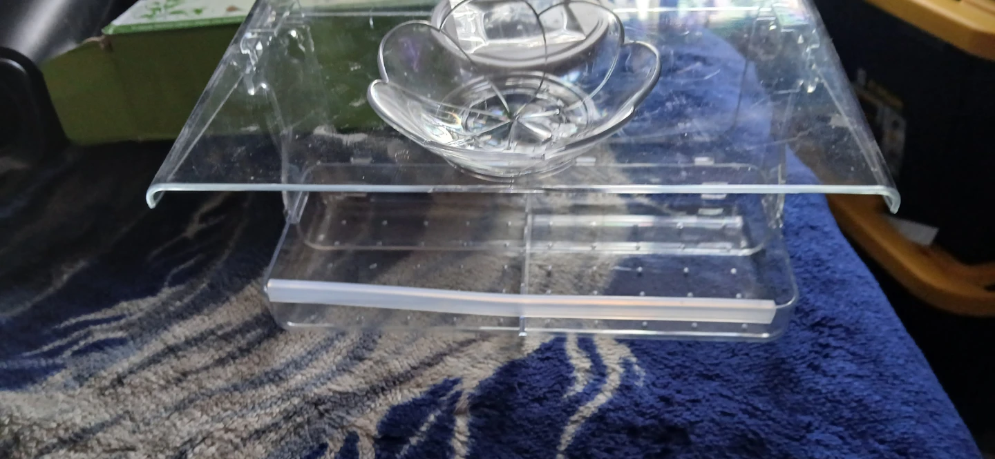 WENMIXER Solar Light Window Bird Feeder - photo 3