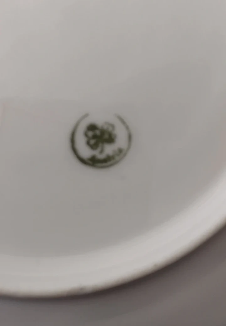 Antique Bohemia Porcelain Plates with Floral Design - photo 5