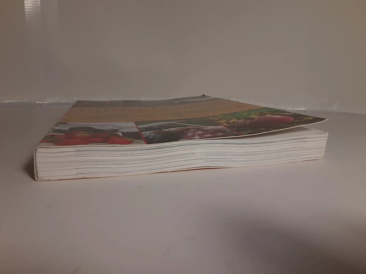The Homesteading Handbook - photo 3