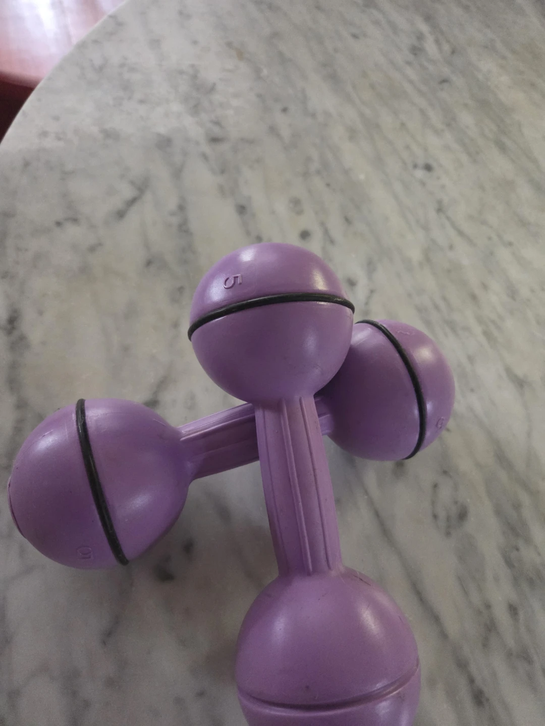 Pair of 5 lb Dumbbells - Purple