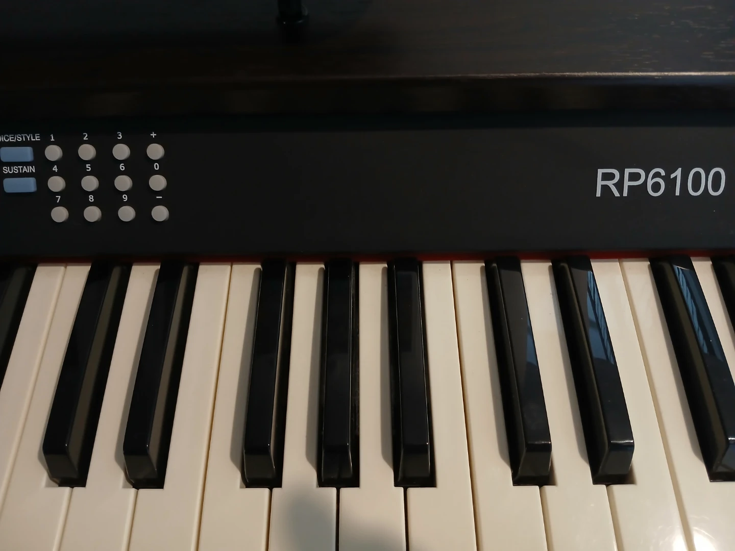 Robson RP6100 Digital Piano with User Manual - photo 5