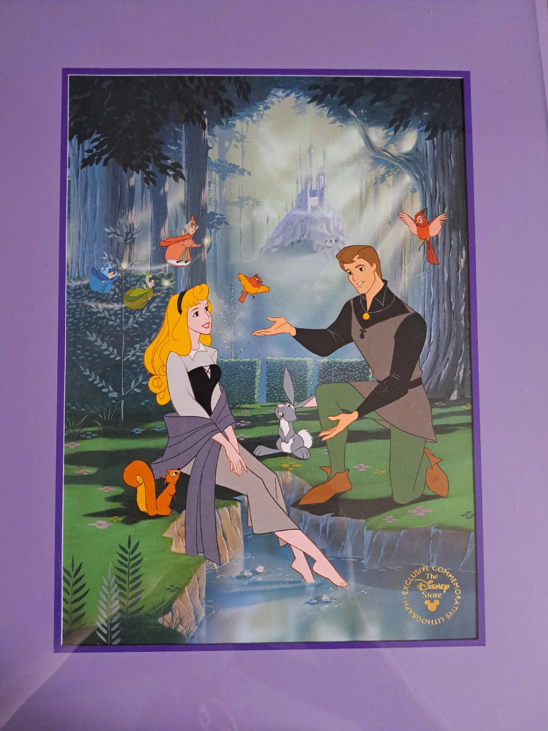 Disney Sleeping Beauty Lithograph