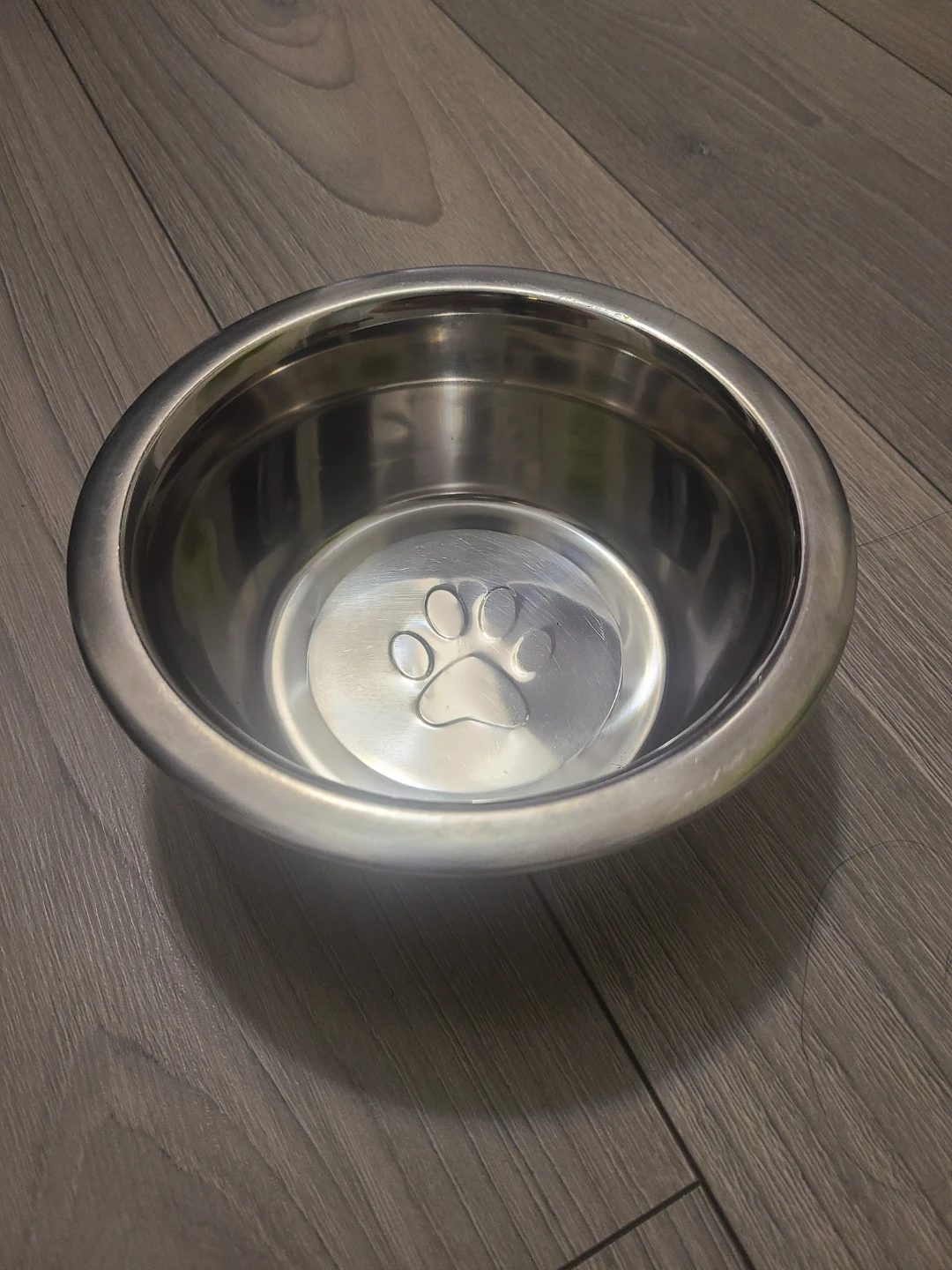 Stainless Steel Pet Bowl with Paw Print