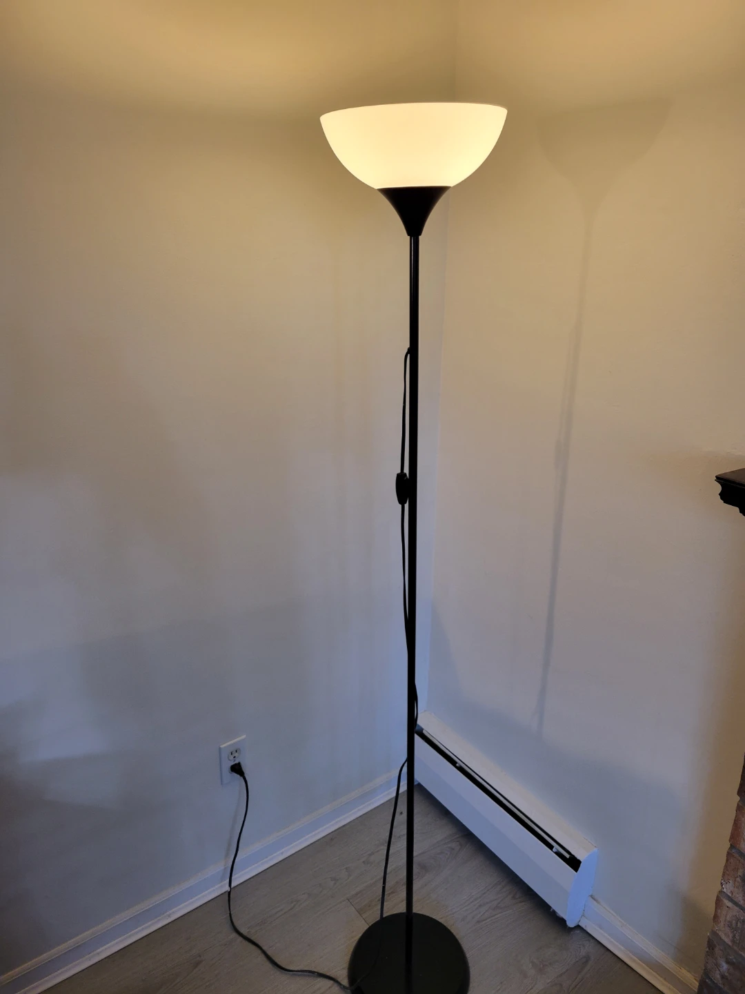 Black Floor Lamp with Frosted Shade