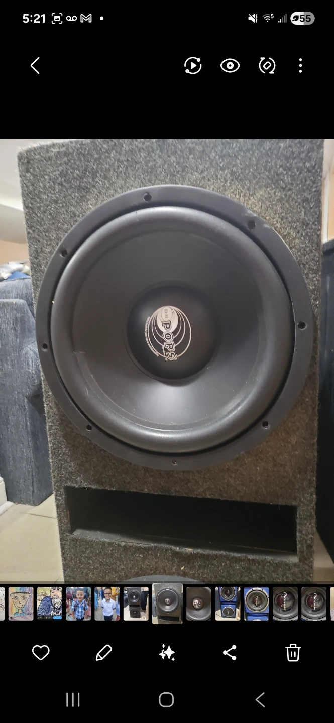 BOSS Dual 12-Inch Subwoofer with Enclosure - photo 3