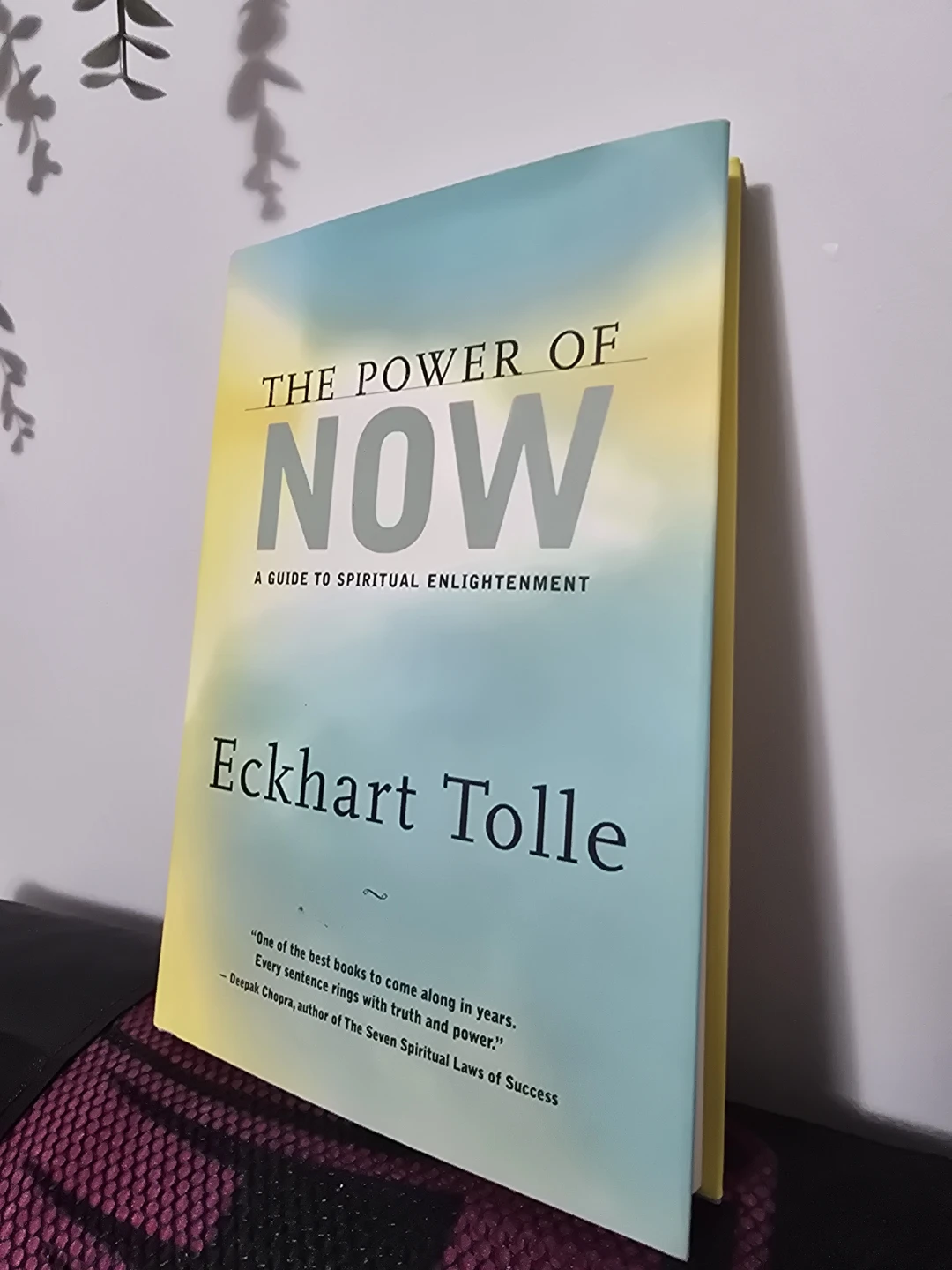 The Power of Now A Guide to Spiritual Enlightenment