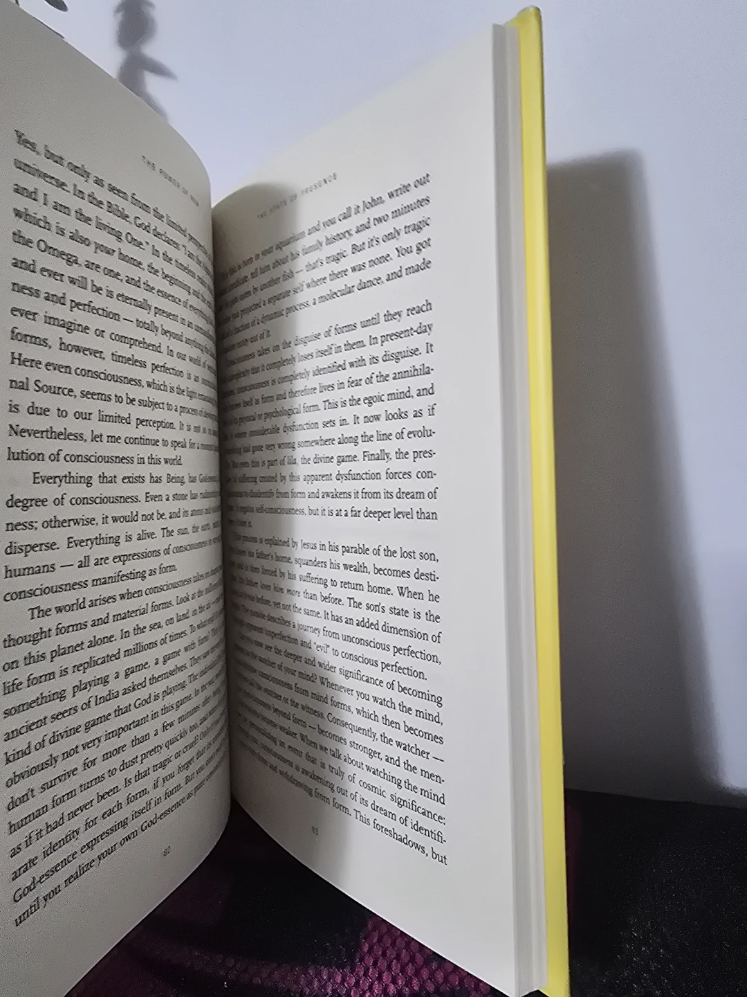 The Power of Now A Guide to Spiritual Enlightenment - photo 2