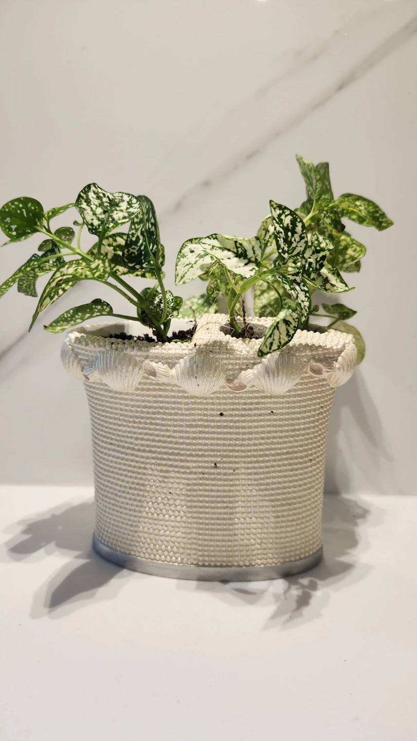 Vintage 1980s Golden Girls inspired planter with polka dot plant