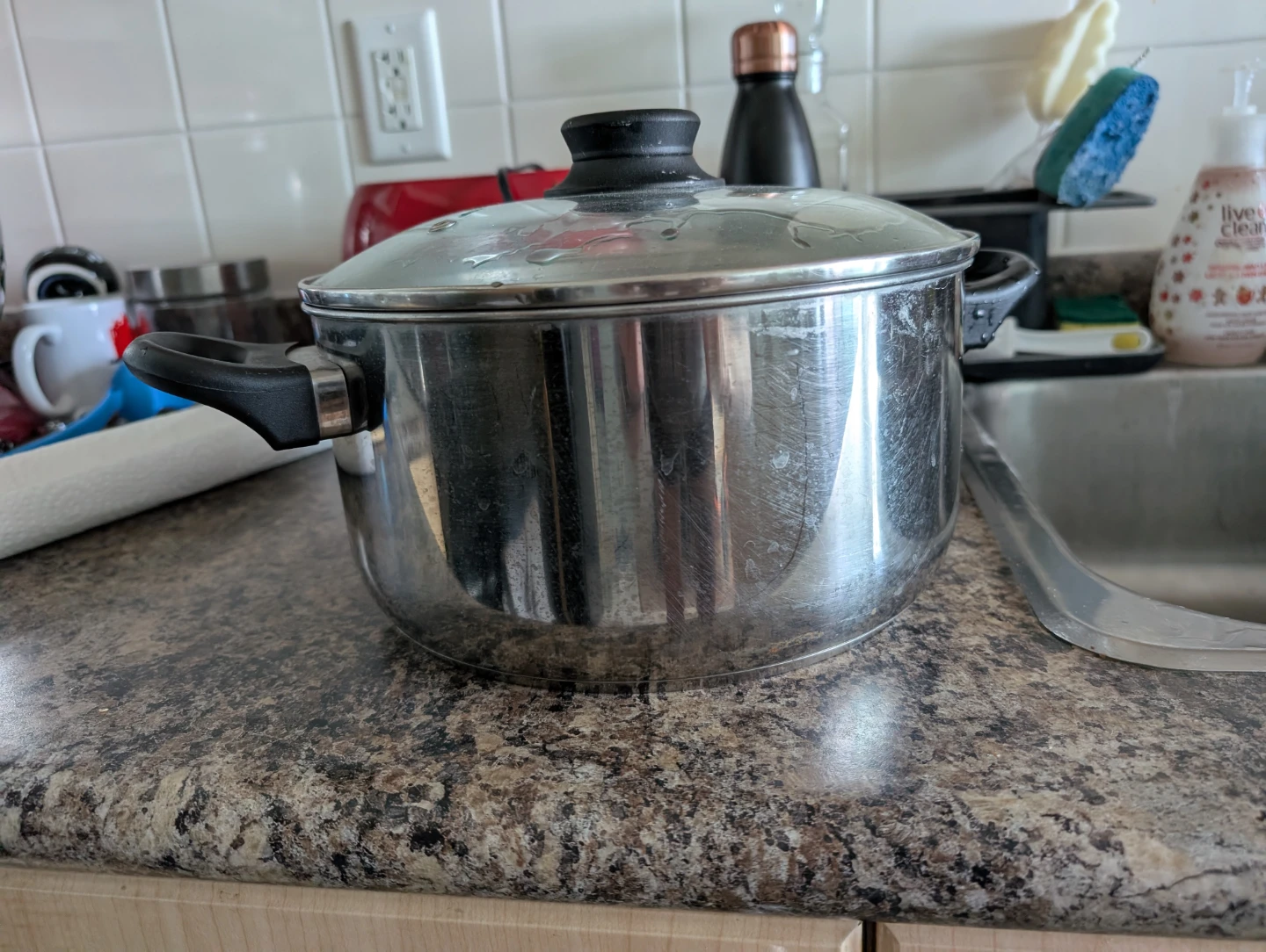 Stainless steel pot with glass lid