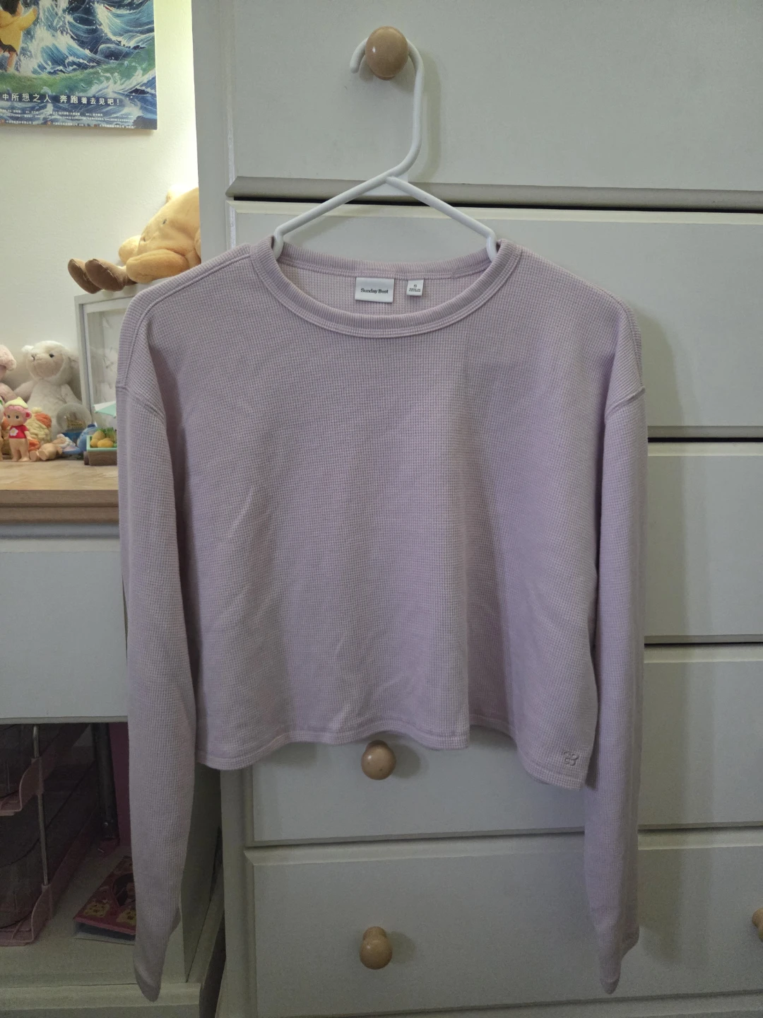 Aritzia Sunday Best Cropped Long Sleeve Shirt