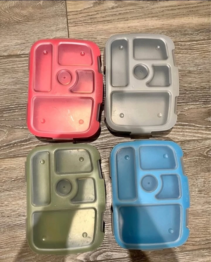 Bento Lunch Boxes - Set of 4