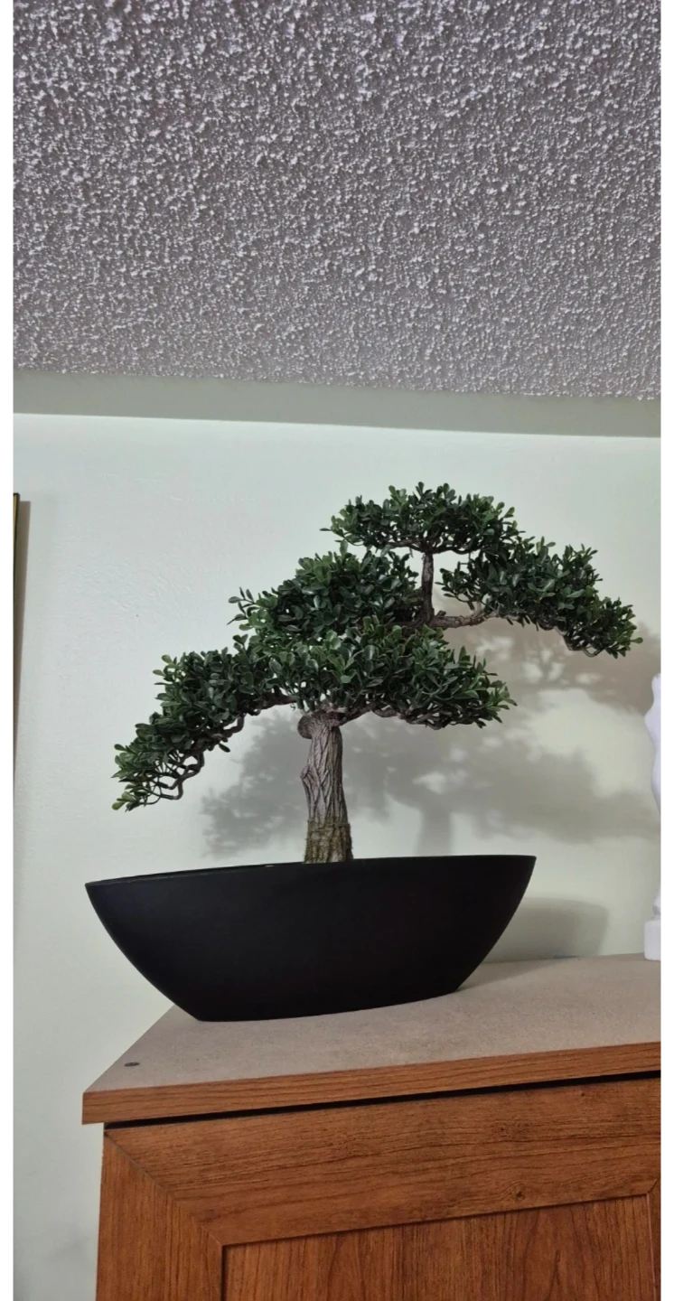 Homesense Faux Bonsai Tree in Black Pot