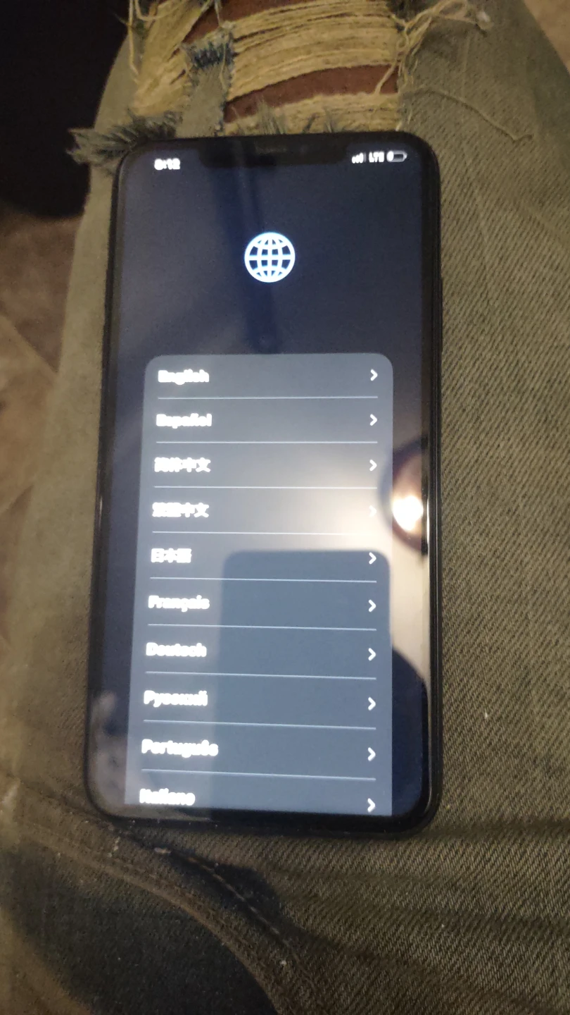 Apple iPhone 11 Pro Max (Damaged)