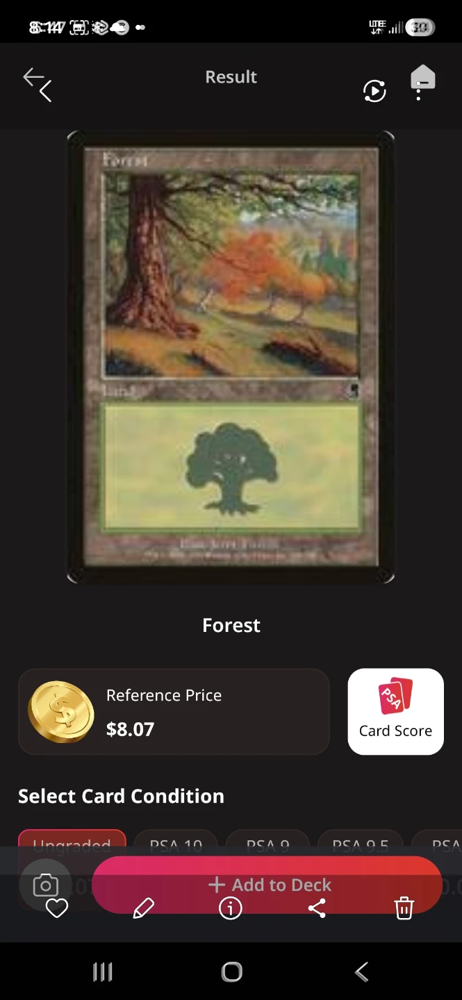 Magic The Gathering Forest Land Card