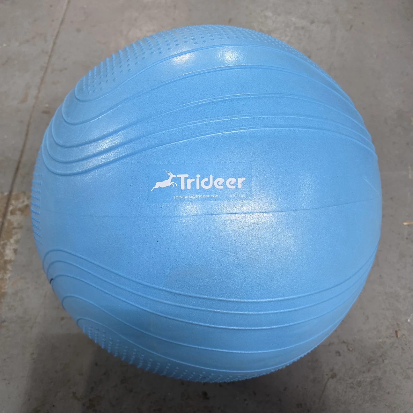 Trideer Blue Exercise Ball