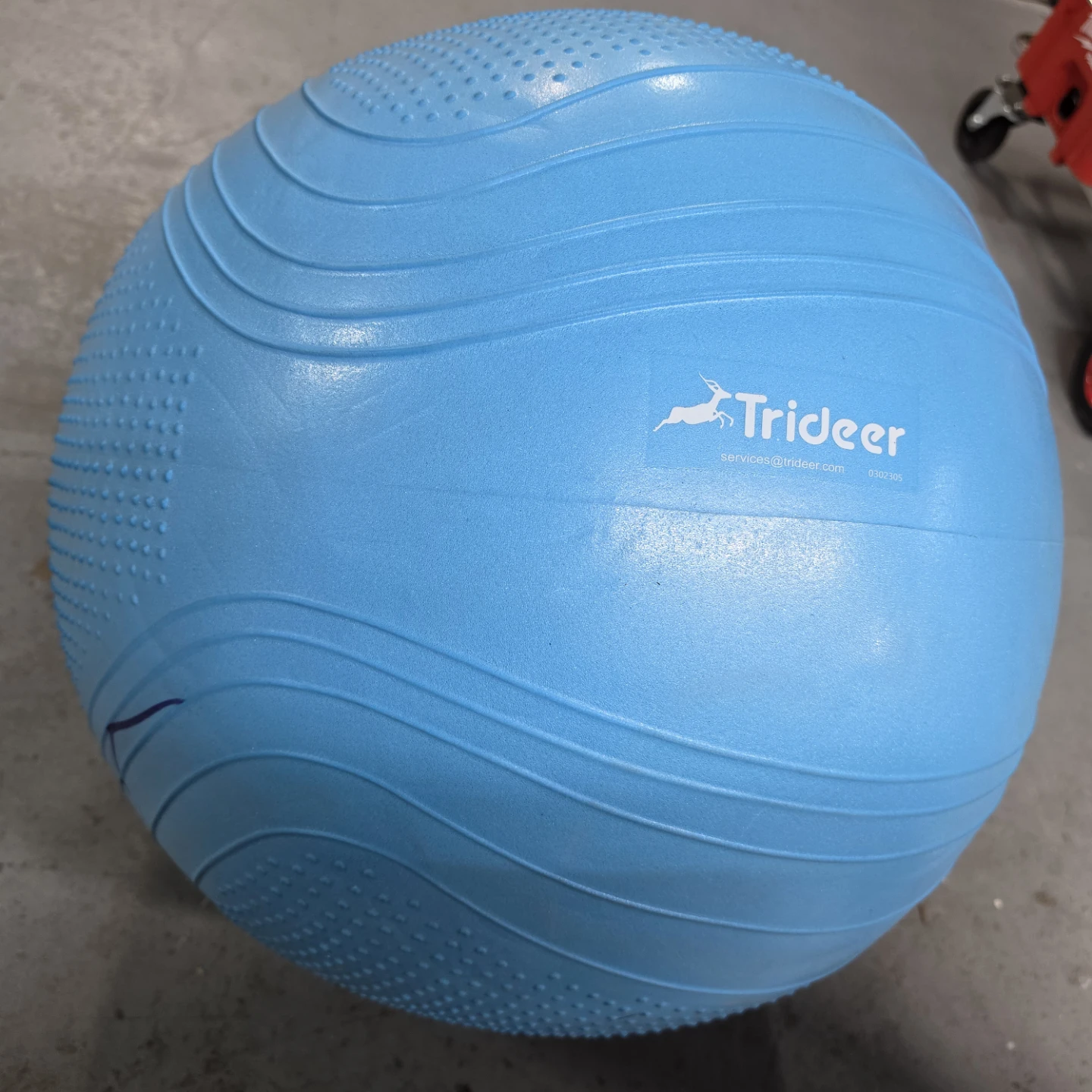 Trideer Blue Exercise Ball - photo 2