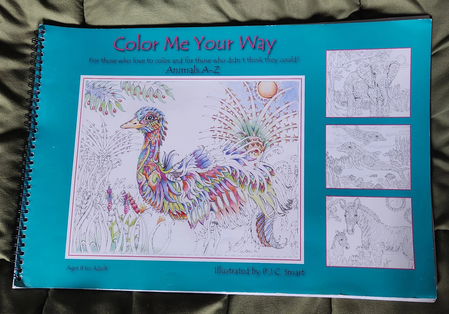 Two Animal Coloring Books