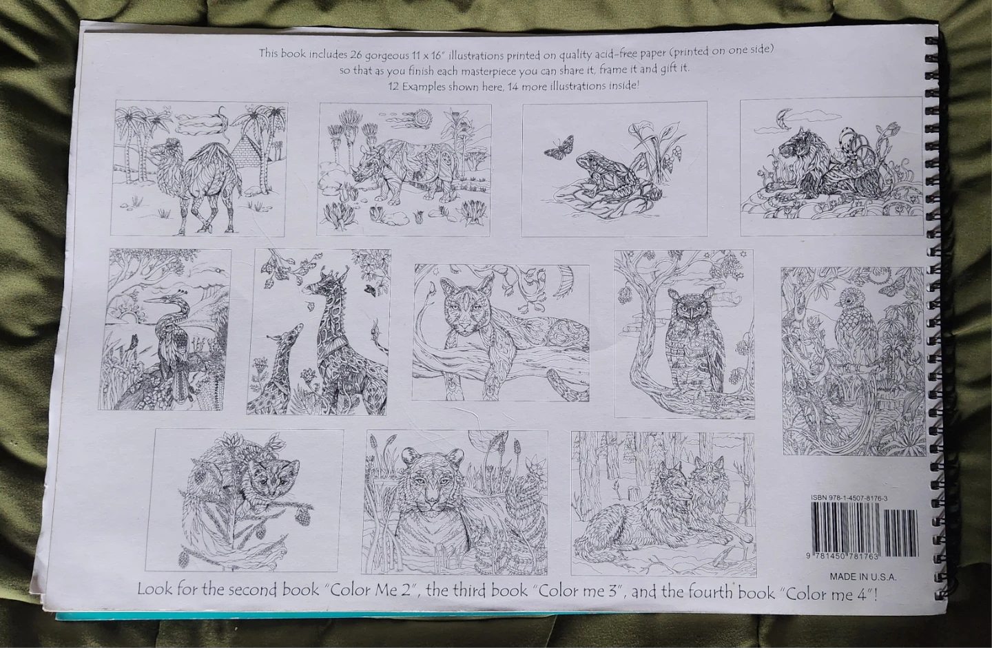Two Animal Coloring Books - photo 3