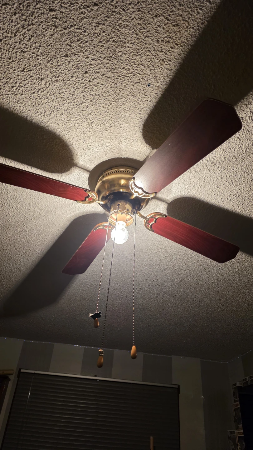 Ceiling Fan with Light