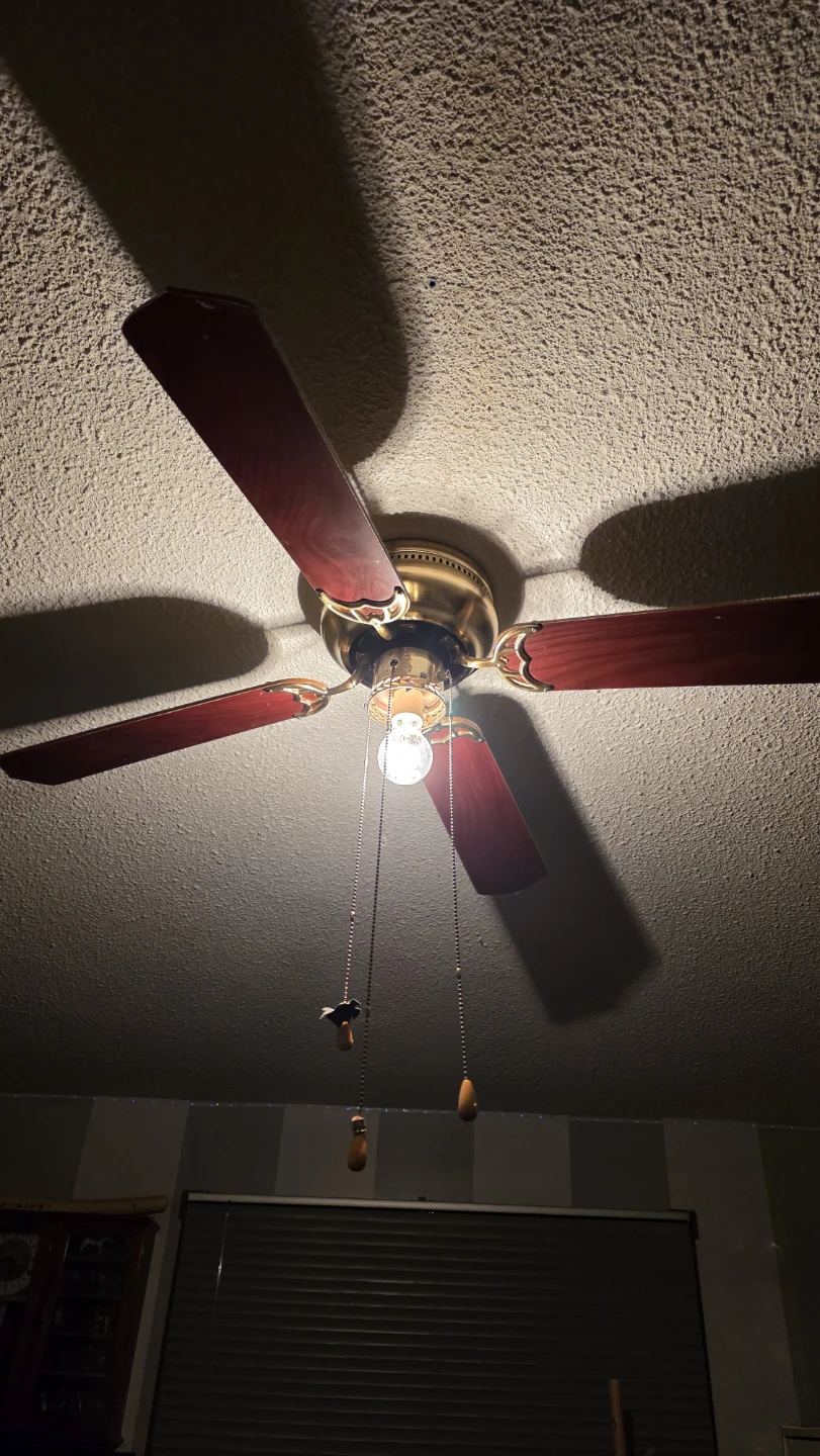 Ceiling Fan with Light - photo 2