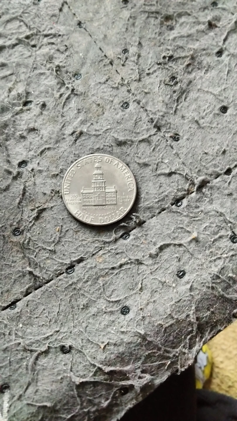 Se vende moneda