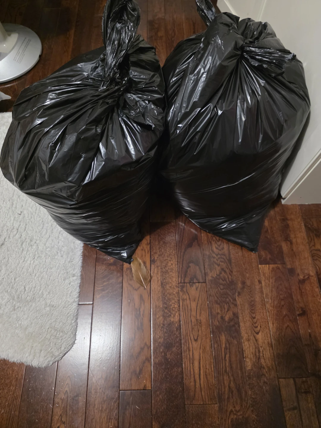 Fashion Nova clothing