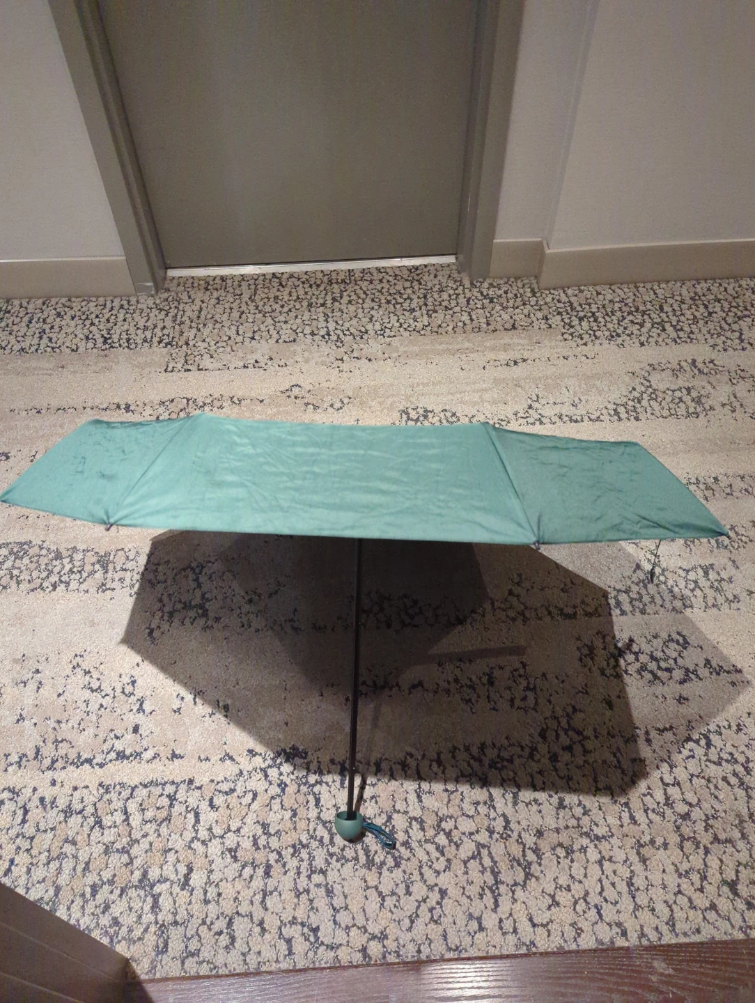 Green Compact Umbrella with Case #free 🌱