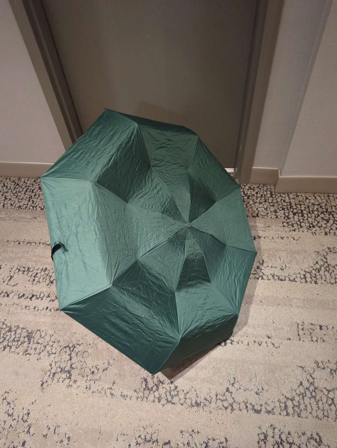 Green Compact Umbrella with Case #free 🌱 - photo 2