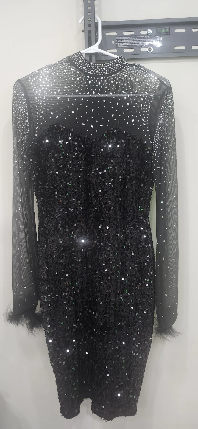 Sequin Mesh Dress with Rhinestones and Feather Trim