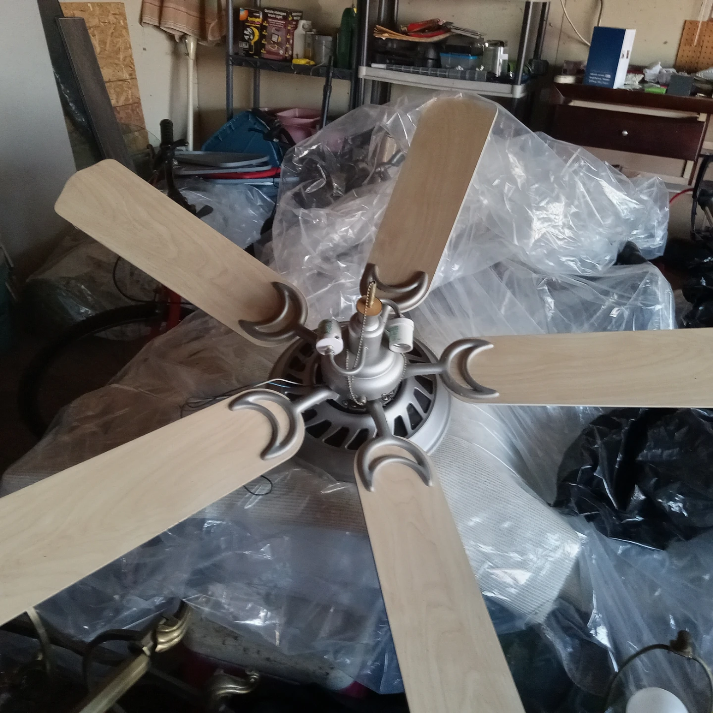 Ceiling Fan with Light Fixture - photo 2