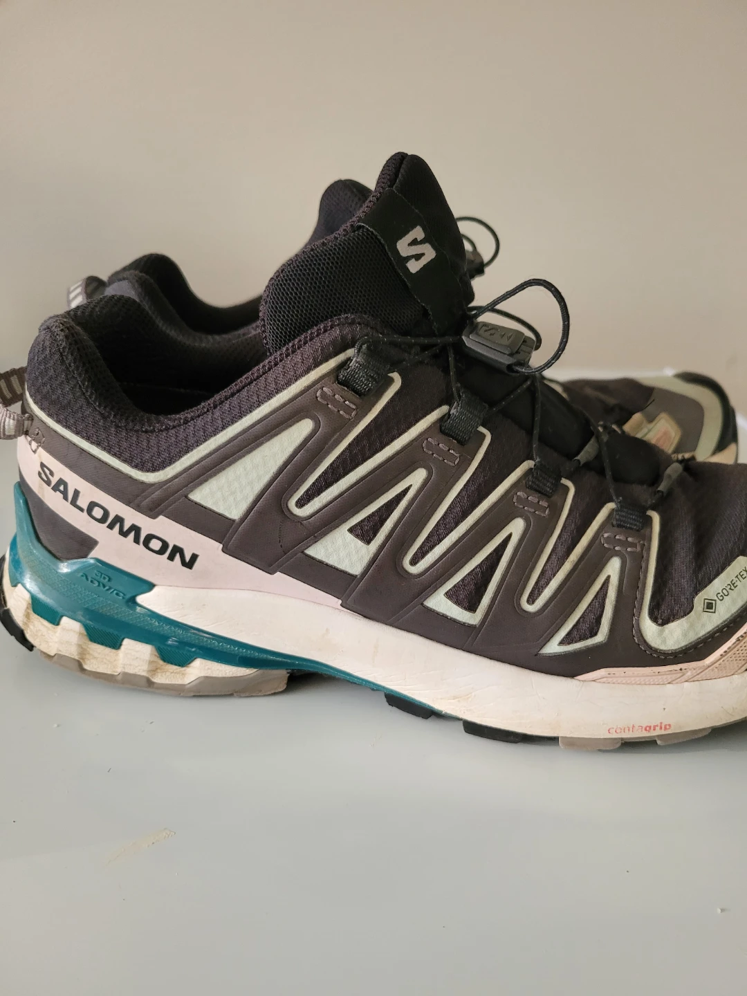 Salomon XA Pro 3D Gore-Tex Trail Running Shoes