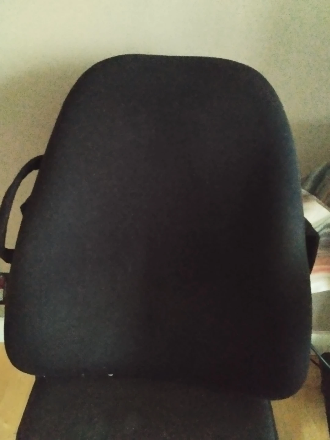 Obus Forme Lumbar Support Cushion