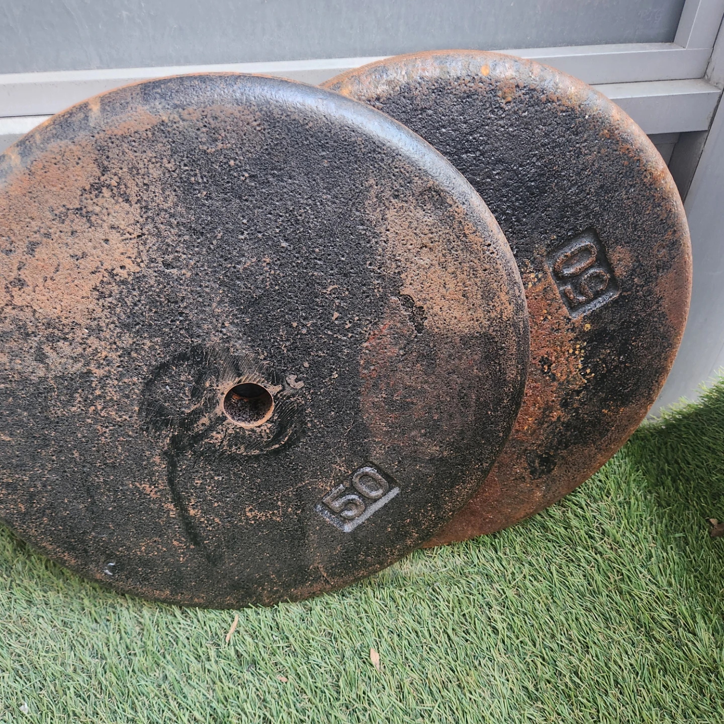 Two 50lb Weight Plates
