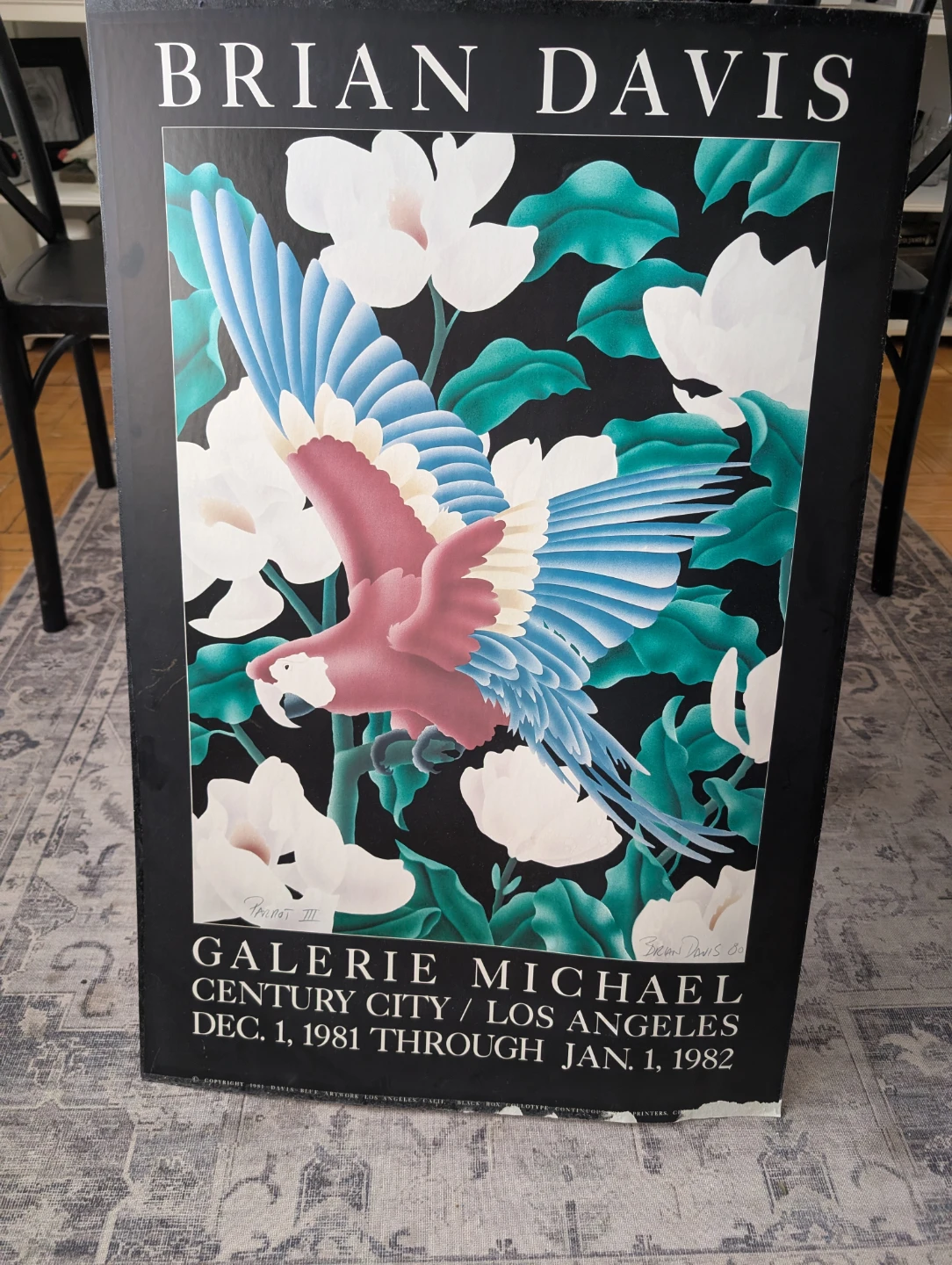 Brian Davis Parrot III Art Print Galerie Michael 1981