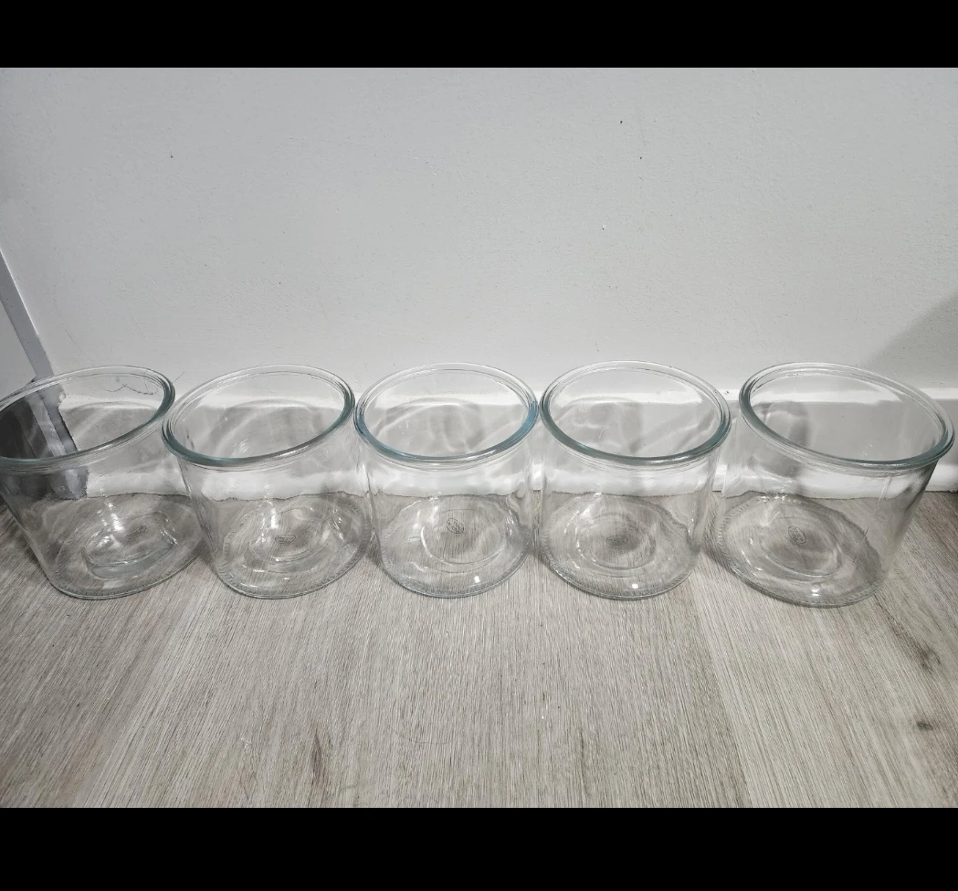 Glass Planter