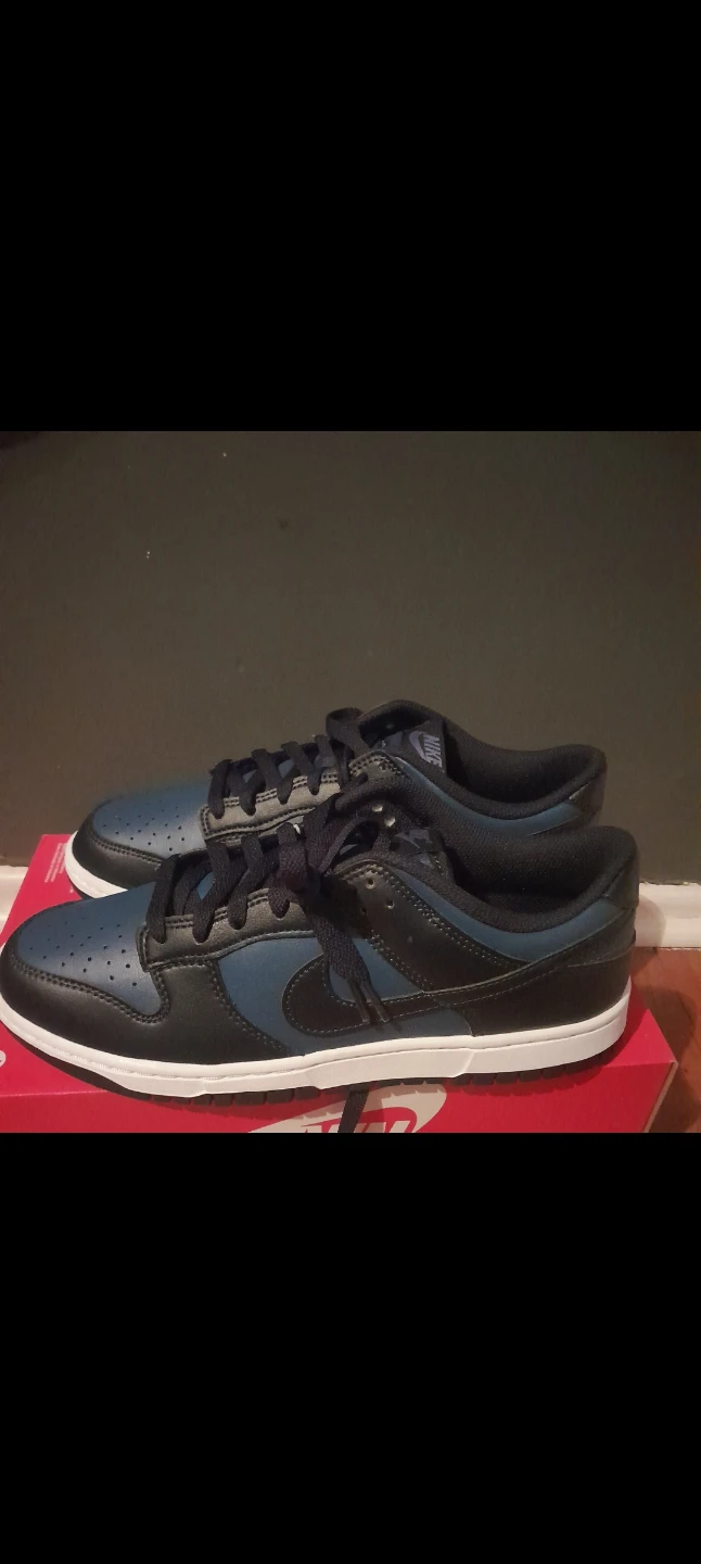 Nike Dunk Low Men's Shoes