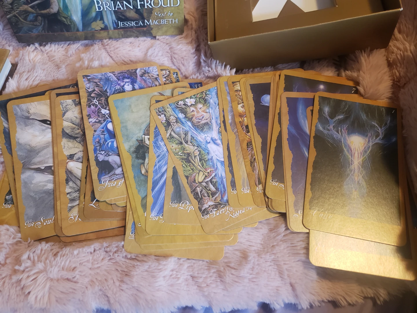 Brian Froud's The Faeries' Oracle Cards and Book - photo 4