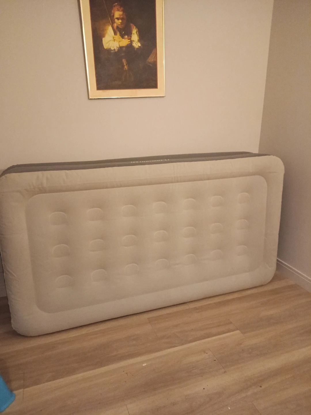 Coleman Blow Up Bed