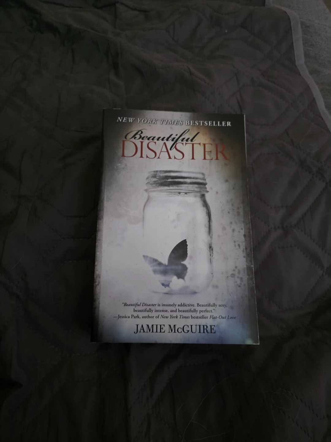 Beautiful Disaster paperback